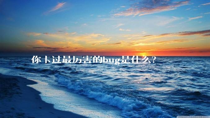 你卡过最厉害的bug是什么？